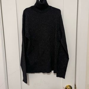Zara sparkly Sweater